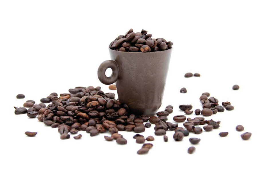 Fondi di caffè esausti - materiali bio based - Coffeefrom