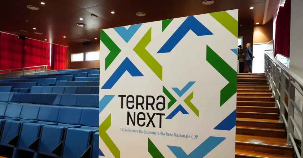 Cartellone Terra Next