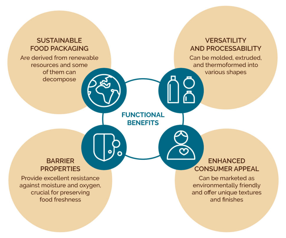 Coffeefrom - Coffeefrom Food Packaging Areas